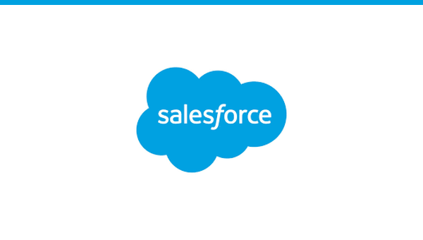Salesforce development partner